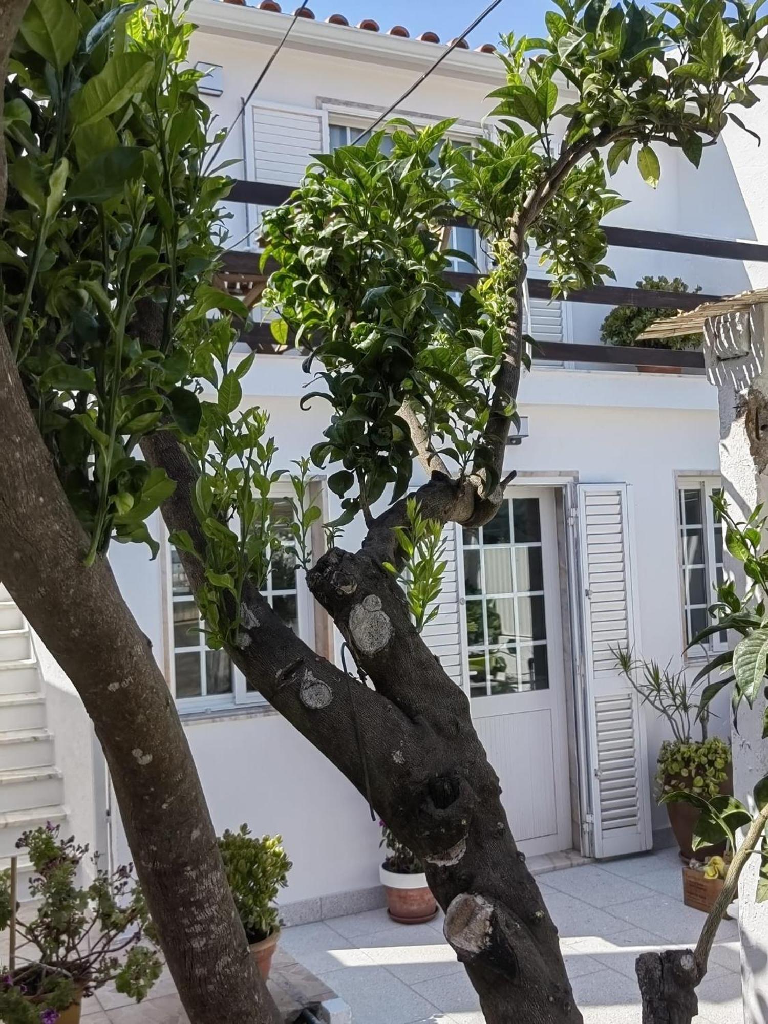 Holiday home Casinha Do Chico