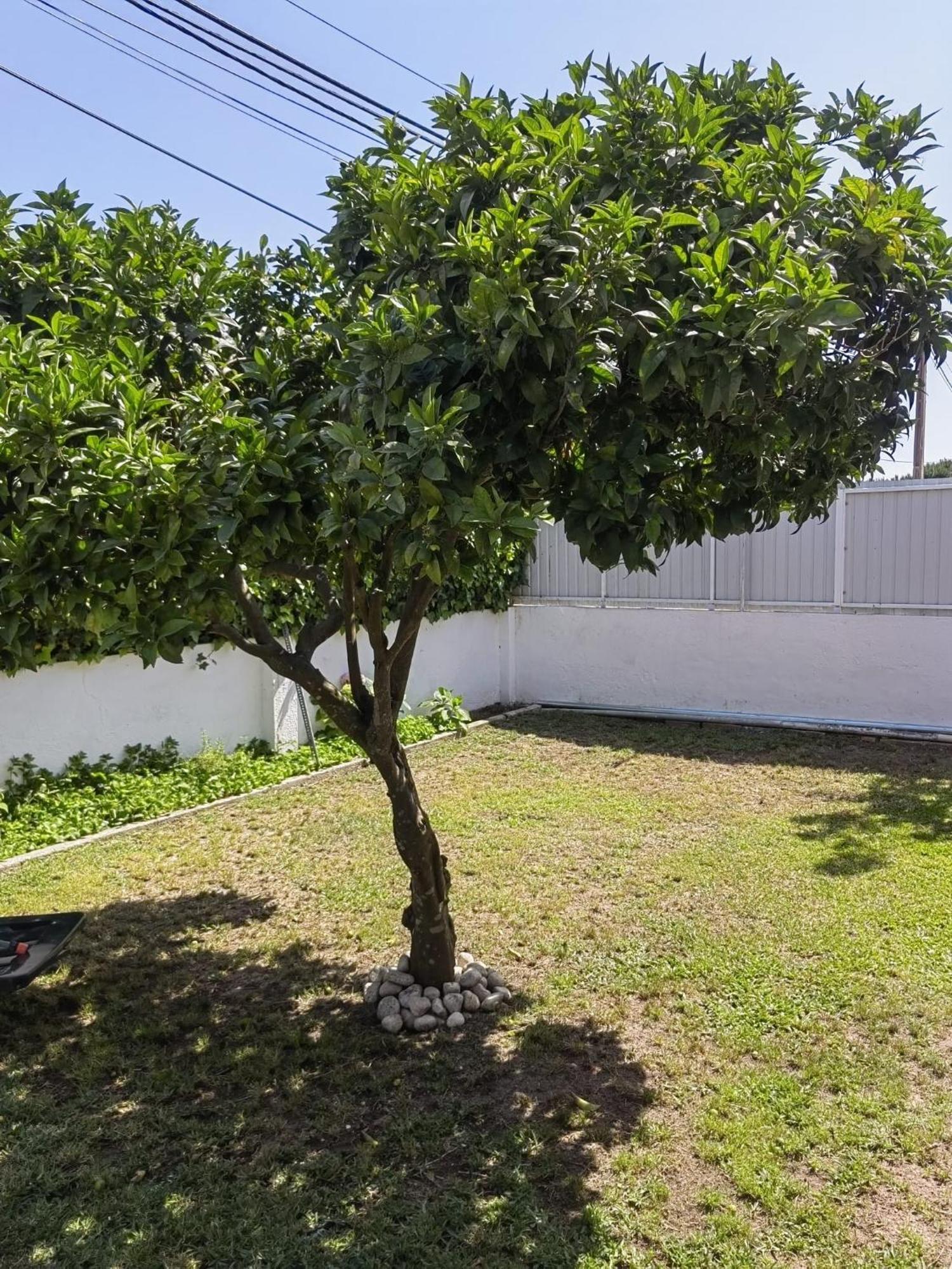 Casinha Do Chico Charneca (Setubal)